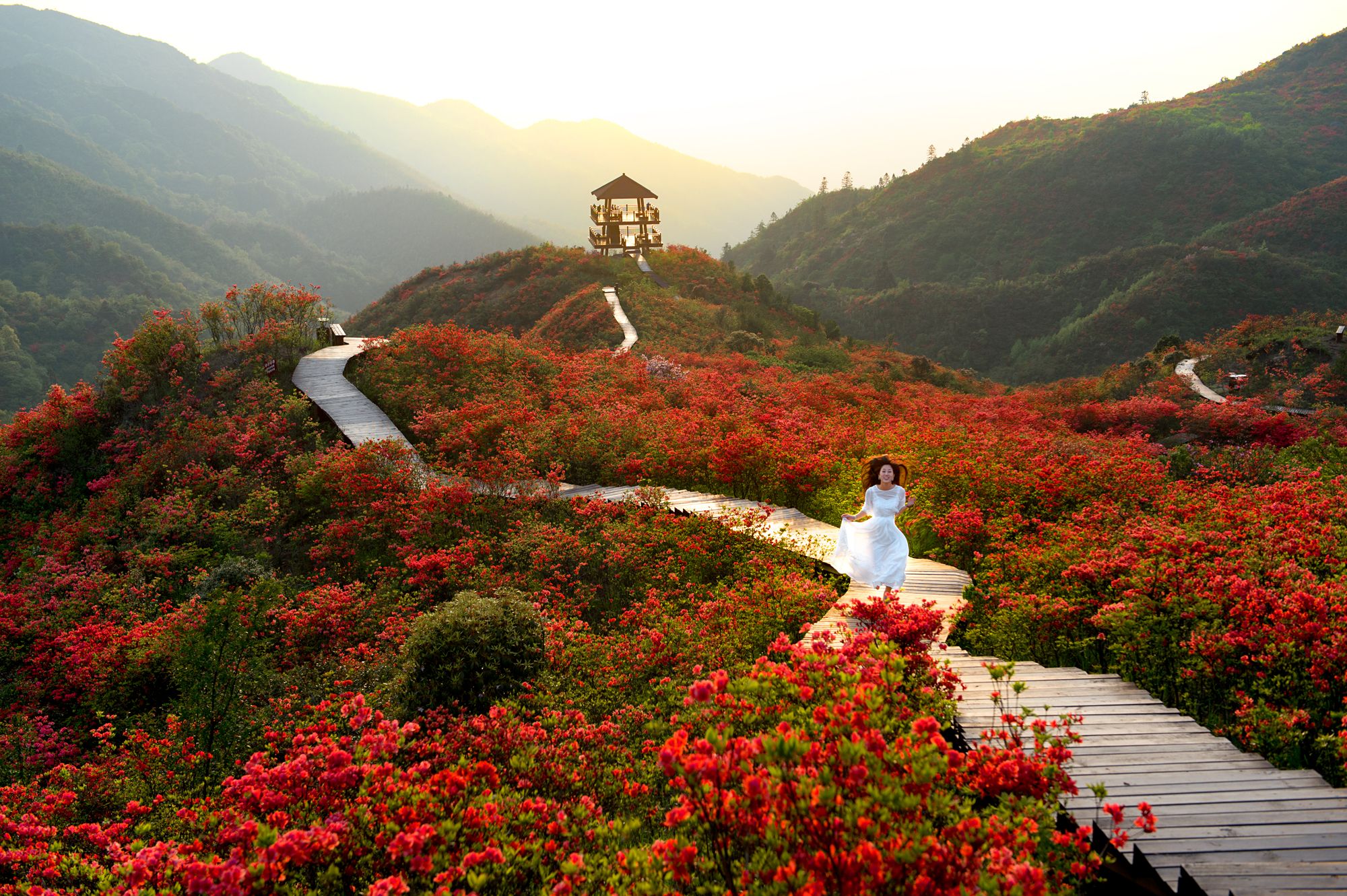 【携程攻略】禹州大鸿寨风景区景点,风景还不错，这个季节适合去看红叶，这里漫山遍野的红叶比山花还烂漫…